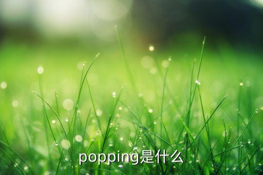 popping是什么