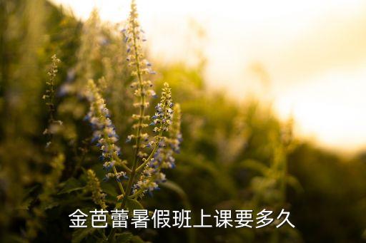 舞蹈班暑假有多少节课，金芭蕾暑假班上课要多久
