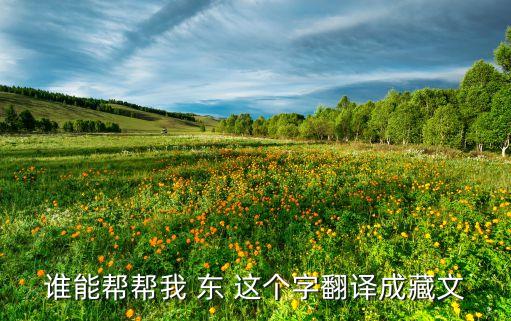 谁能帮帮我 东 这个字翻译成藏文