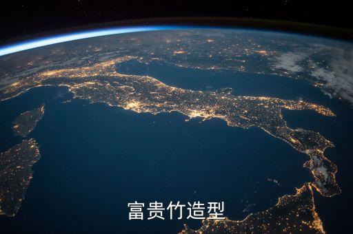 富贵竹造型