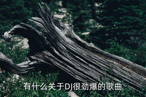 有什么关于DJ很劲爆的歌曲