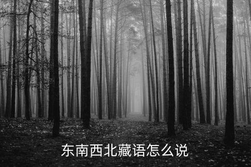 东南西北藏语怎么说