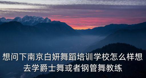 想问下南京白妍舞蹈培训学校怎么样想去学爵士舞或者钢管舞教练