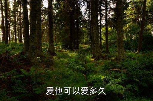 爱他可以爱多久