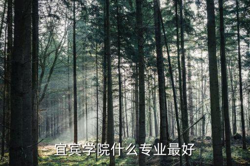 宜宾学院舞蹈专业怎么样，宜宾学院与成都艺术职业学院哪个好点