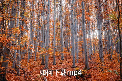 如何下载mp4