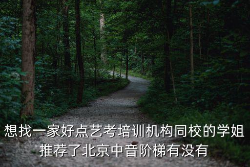 想找一家好点艺考培训机构同校的学姐推荐了北京中音阶梯有没有