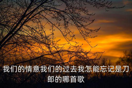 我们的情意怎么能过去恰恰，我们的情意我们的过去我怎能忘记是刀郎的哪首歌