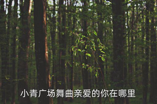 小青广场舞曲亲爱的你在哪里