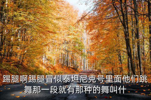 踢腿啊踢腿冒似泰坦尼克号里面他们跳舞那一段就有那种的舞叫什