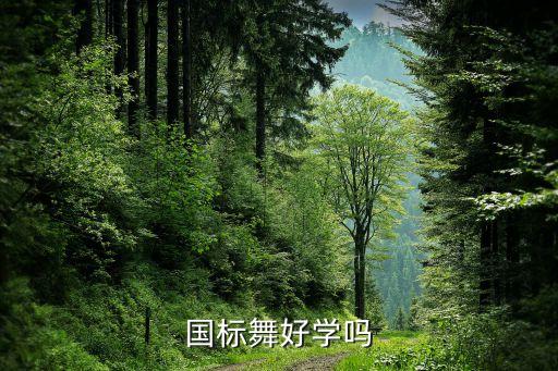 国标舞好学吗