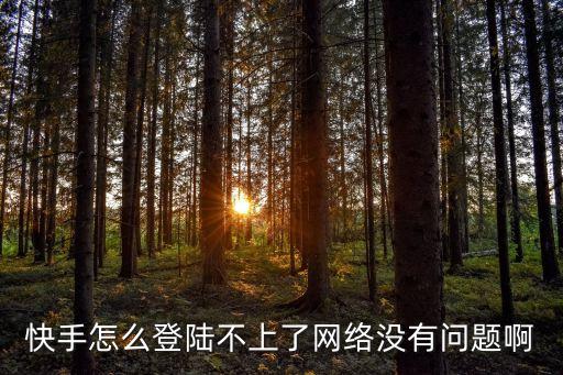 快手怎么登陆不上了网络没有问题啊