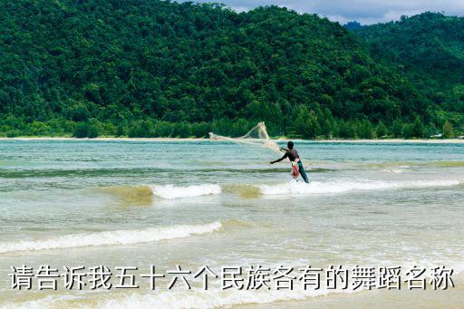 请告诉我五十六个民族各有的舞蹈名称