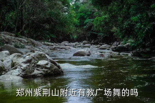郑州紫荆山附近有教广场舞的吗