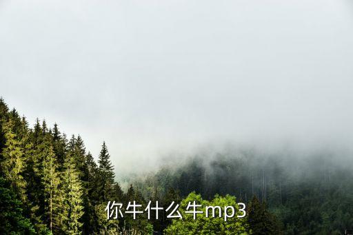你牛什么牛mp3