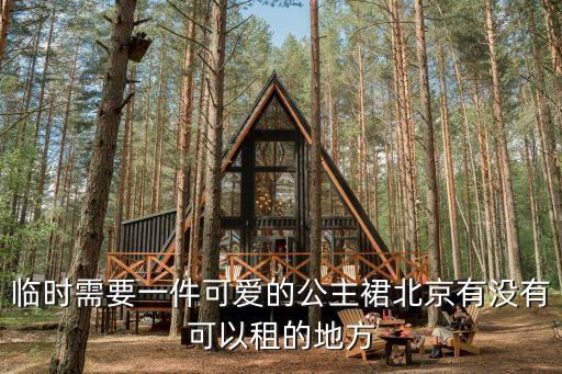临时需要一件可爱的公主裙北京有没有可以租的地方