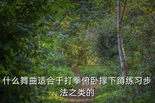 什么舞曲适合于打拳俯卧撑下蹲练习步法之类的