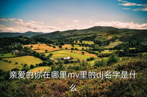 亲爱的你在哪里dj，有首DJ曲歌词有想哭却哭不出来最亲爱的你在哪里不是迪克牛