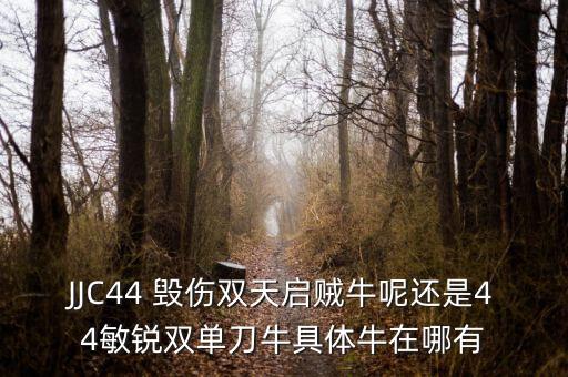 JJC44 毁伤双天启贼牛呢还是44敏锐双单刀牛具体牛在哪有