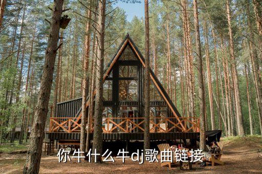 你牛什么牛dj歌曲链接