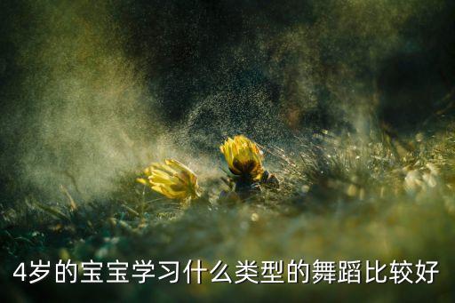 4岁的宝宝学习什么类型的舞蹈比较好
