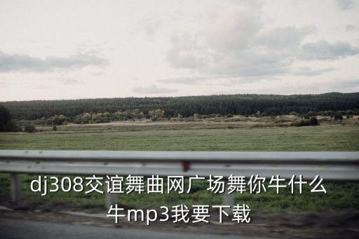 dj308交谊舞曲网广场舞你牛什么牛mp3我要下载
