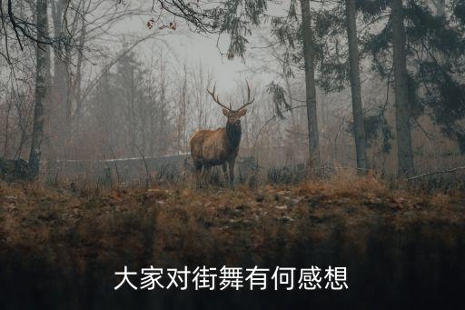 大家对街舞有何感想