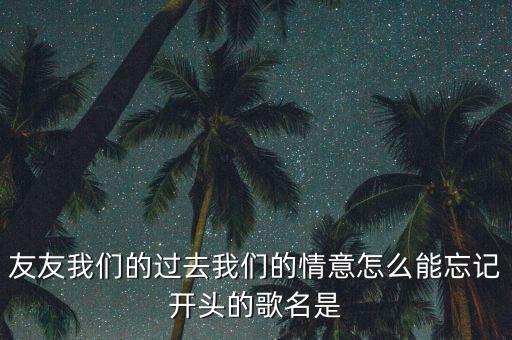 友友我们的过去我们的情意怎么能忘记开头的歌名是
