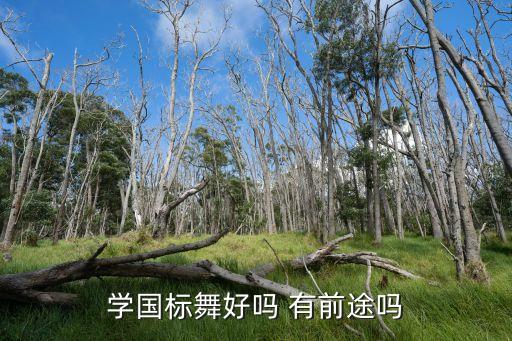 广舞国标舞怎么样，国标舞好学吗