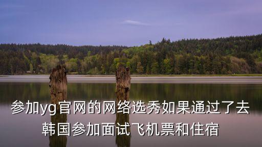 参加yg官网的网络选秀如果通过了去韩国参加面试飞机票和住宿
