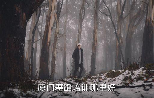 厦门舞蹈培训哪里好