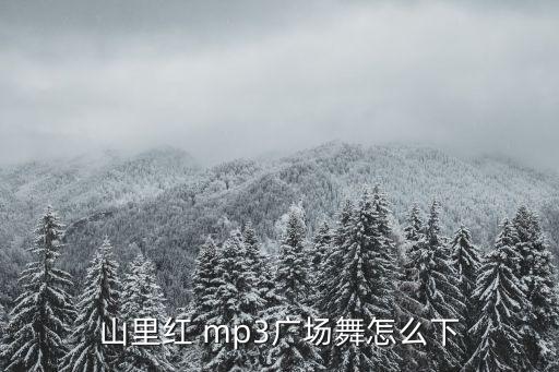 如何下载山里红广场舞，山里红 mp3广场舞怎么下