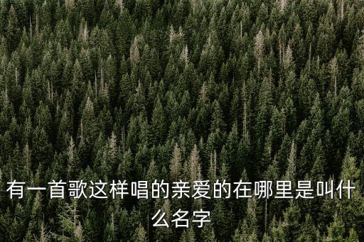 有一首歌这样唱的亲爱的在哪里是叫什么名字