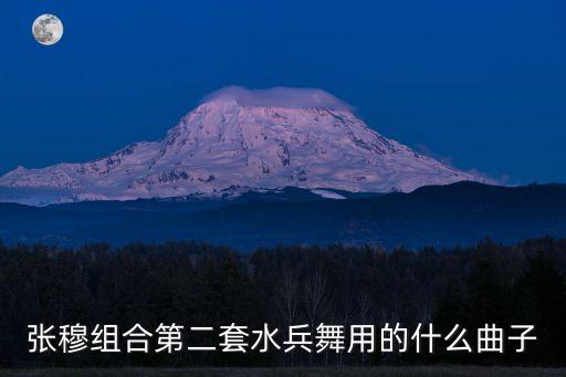 张穆组合第二套水兵舞用的什么曲子