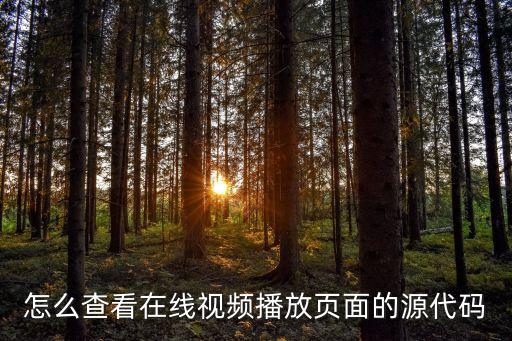快手网页版在线看网址代码，在网页中在线播放视频代码