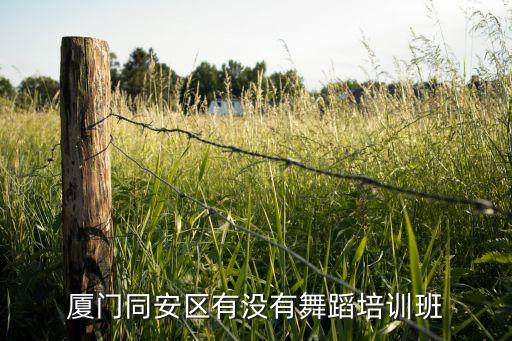 厦门哪里有交谊舞培训班，厦门舞蹈培训哪里好