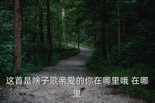 这首是啥子歌亲爱的你在哪里哦 在哪里