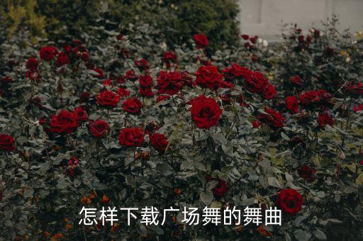 广场舞掌声在哪里舞曲下载，怎样下载广场舞曲