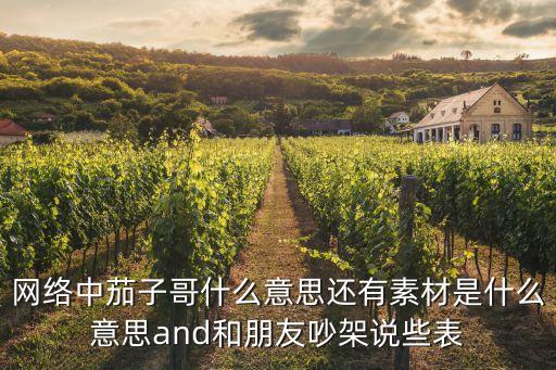 网络中茄子哥什么意思还有素材是什么意思and和朋友吵架说些表