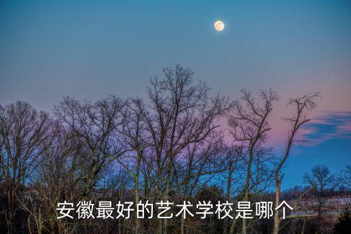 安徽院校舞蹈专业排名，安徽最好的艺术学校是哪个