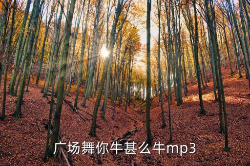 广场舞你牛甚么牛mp3