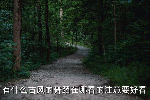 有什么古风的舞蹈在哪看的注意要好看