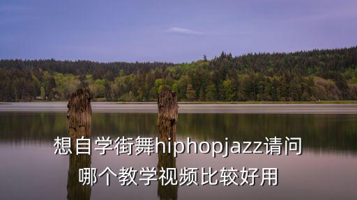学跳舞哪个视频好，求舞蹈视频推荐一些好看易学的现代舞蹈类似by2的不要太性