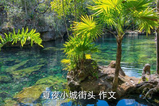夏夜小城街头 作文