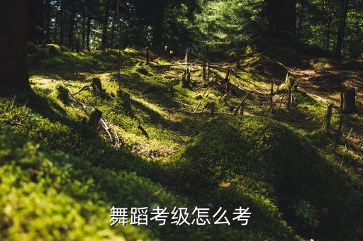 舞蹈考级怎么考