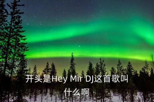 有首DJ歌有MRDJ是什么歌，开头是Hey Mir DJ这首歌叫什么啊