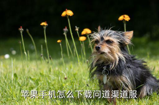 苹果手机怎么下载问道渠道服