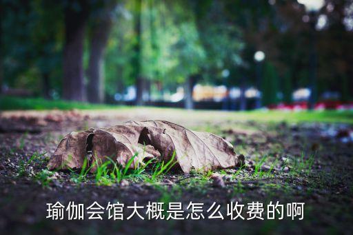 瑜伽会馆大概是怎么收费的啊