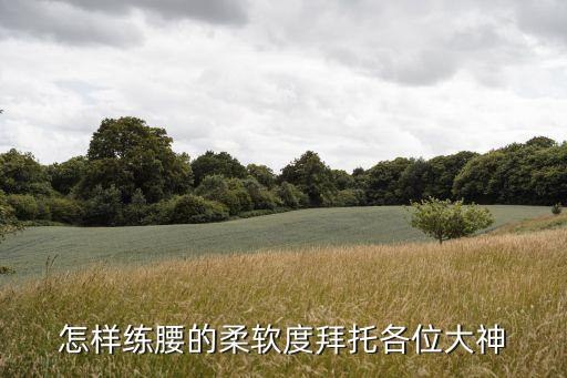 怎样练腰的柔软度拜托各位大神