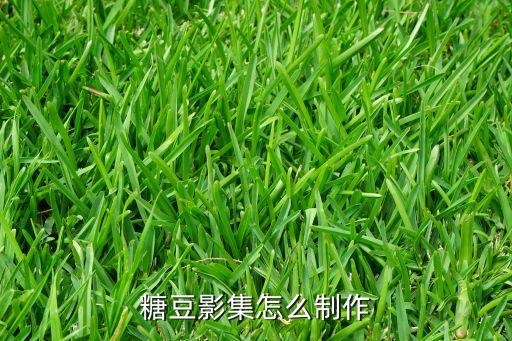 如何编辑糖豆视频教程，怎样制作mv视频
